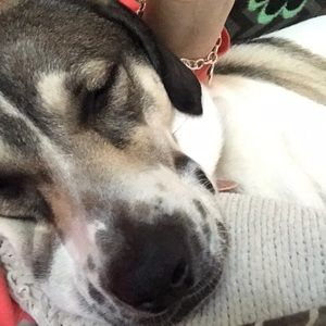 Meet your Posher, Nikki